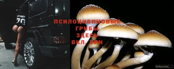 ешки Кинешма