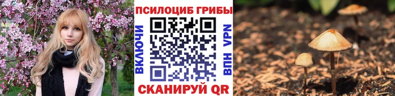 наркота  Урус-Мартан  Галлюциногенные грибы ЛСД 