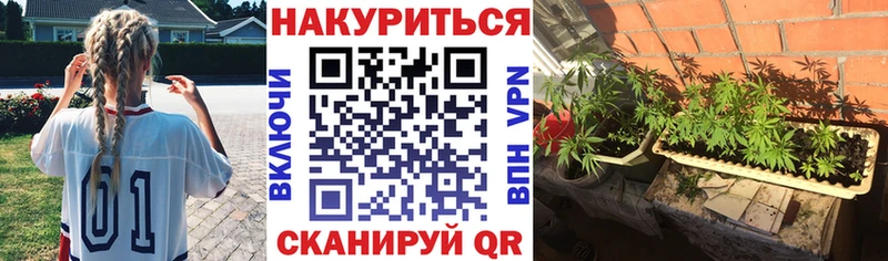 Канабис Bruce Banner  Урус-Мартан 